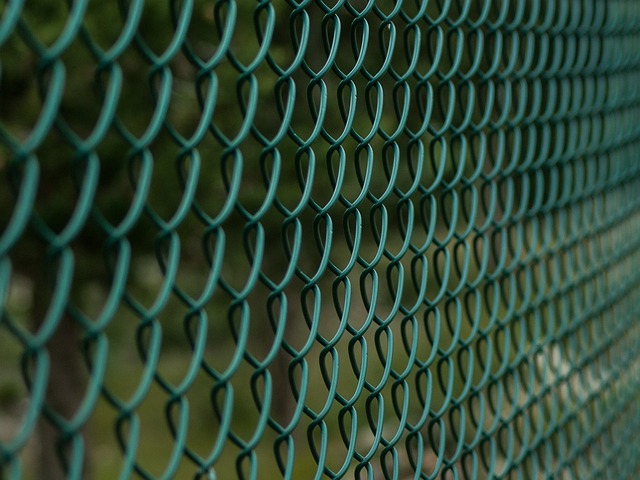 Top Privacy Fence Options for Your Barrie Home by Fence Right Inc