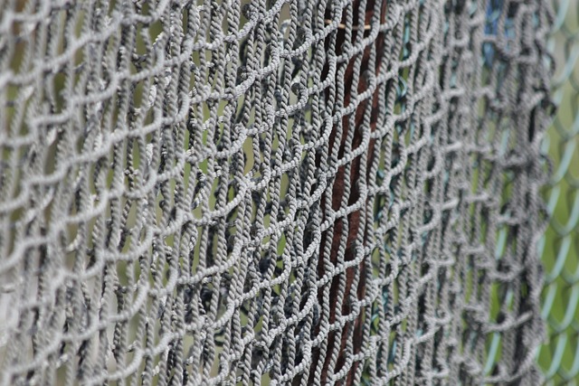 Guiding You Through Fence Installation in Barrie, Ontario