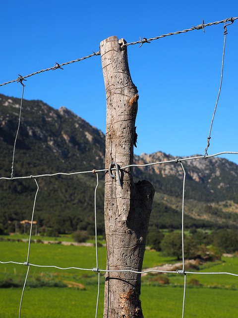 Elevate Your Barrie Property: Choose the Perfect Fence Style with Fence Right Inc