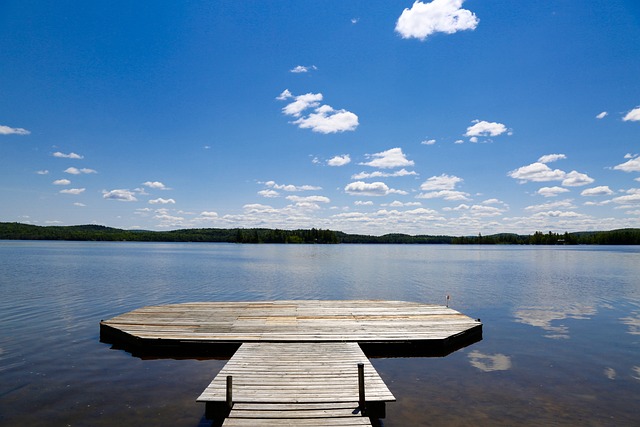 Optimize Your Barrie Property with the Fence Right Inc Guide