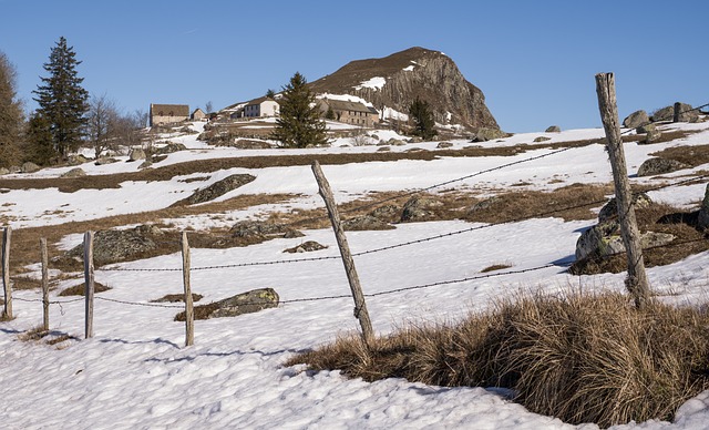 Avoiding Pitfalls: Essential Pre-Contract Steps for Fencing Projects