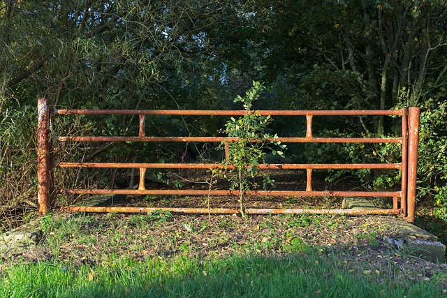 fencing-contractors-in-barrie-fencing-co-640x480-35895869.jpeg