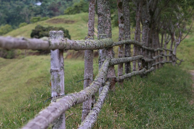 5 Benefits of Free Estimates from Fencing Contractors in Barrie Ontario