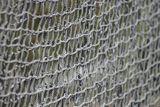 Avoiding Common Mistakes: Evaluating Fencing Contractor Rates Wisely