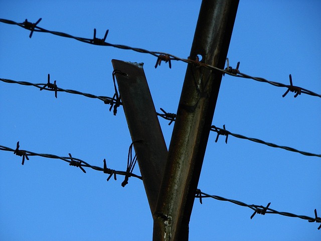 Unveiling Barrie’s Top 10 Fencing Contractors for Quality Service