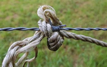 fencing-farm-fencing-for-farms-fence-for-640x480-28807552.jpeg