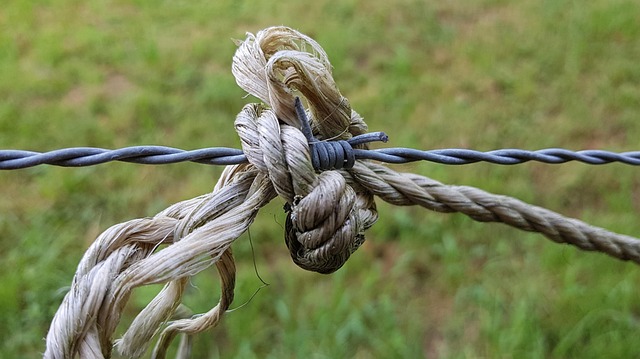 Fencing for Farms: Choosing Right Materials with Fence Right Inc