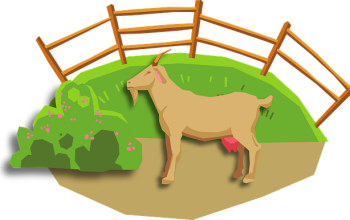 fencing-farm-fencing-for-farms-fence-for-640x480-49283216.png