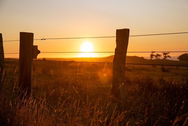 DIY vs Professional Farm Fencing: Choosing the Right Path with Fence Right Inc
