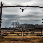 fencing-farm-fencing-for-farms-fence-for-640x480-67173356.jpeg