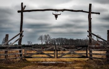fencing-farm-fencing-for-farms-fence-for-640x480-67173356.jpeg