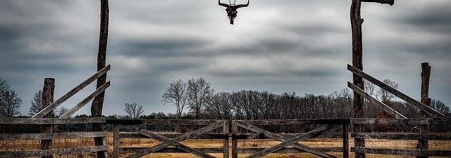 fencing-farm-fencing-for-farms-fence-for-640x480-67173356.jpeg