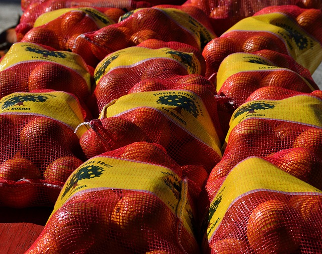Grey-Bruce Farms for Sale