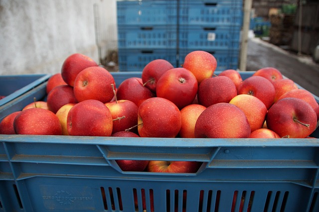 Grey-Bruce Farms for Sale: Understanding Regional Price Dynamics
