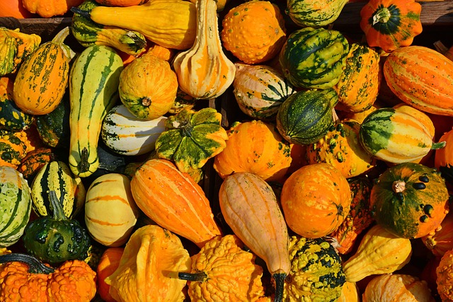 Grey-Bruce Farms for Sale, Grey-Bruce Ontario Farms for Sale