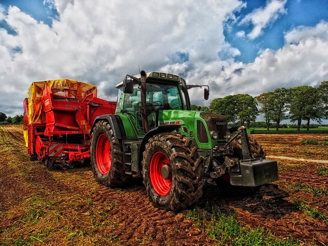 Grey-Bruce Farms: Darren Martin Realty Navigates Auctions & Market Trends