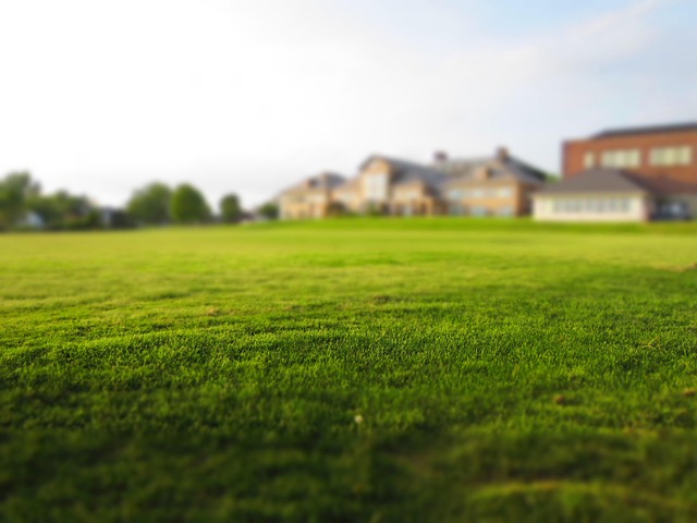 Uncover Your Perfect Retreat: Top Cottages by Darren Martin Realty in Grey Bruce County