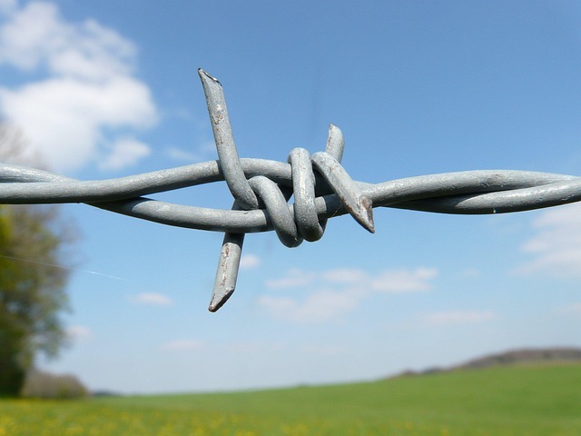Ornamental Iron Fence Collingwood: Top Panels for Every Budget