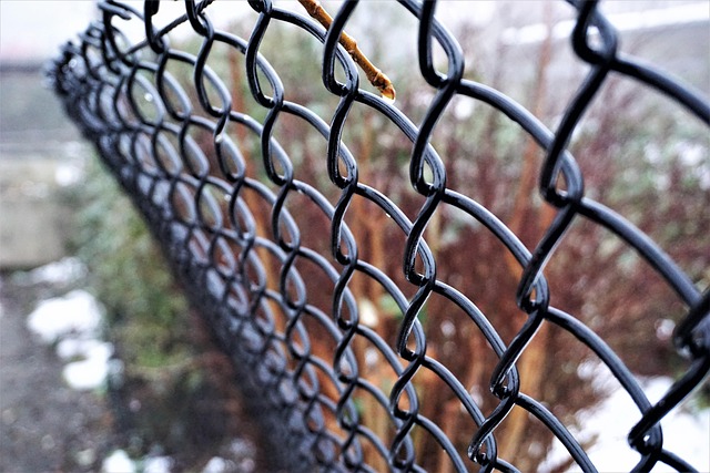 Maintain & Revive Your Ornamental Iron Fence: Collingwood Expert Tips