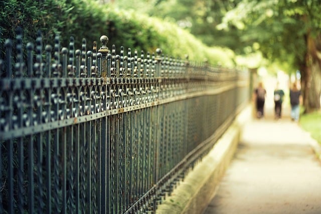 Discover Top-Rated Wrought Iron Fences from Budget to Luxury