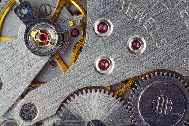 Maximize Your Collingwood Investment with Local Property Management Expertise