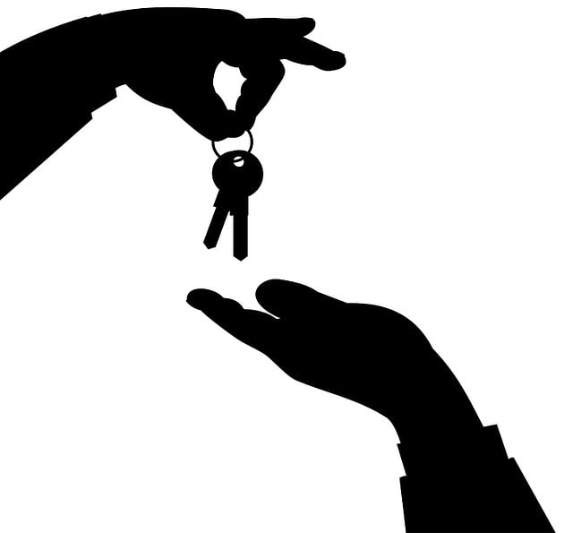Avoiding Pitfalls: Essential Tips for Hiring Property Managers in Collingwood