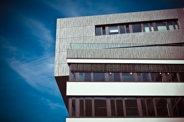 Top 5 Qualities of Collingwood’s Best Property Managers (Seven Wonders)