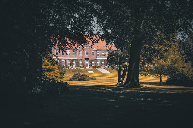 Uncovering Collingwood’s Top Property Managers: 7 Key Reliability Signs