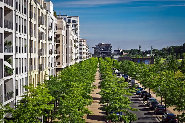 Mastering Collingwood’s Rental Market: 5 Ways Property Managers Ensure Smooth Sailing