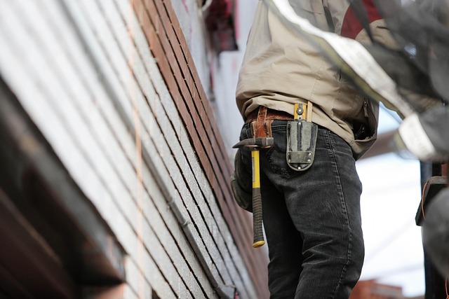 Top 10 Siding Materials for Oakville Homes: Expert Contractor Insights
