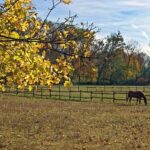 fence-right-inc-farm-fencing-farm-fence-640x480-48248541.jpeg
