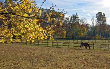 fence-right-inc-farm-fencing-farm-fence-640x480-48248541.jpeg