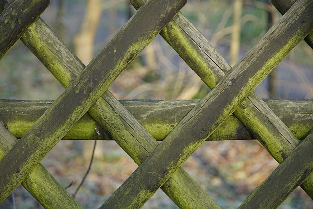 Defining Ontario’s Rural Property Lines: Modern Fencing Options with Fence Right Inc