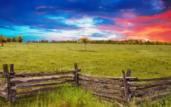 fence-right-inc-farm-fencing-farm-fence-640x480-85881107.jpeg