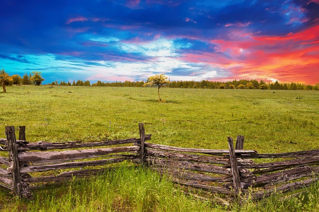Ontario Farms: Long-Lasting Fence Solutions for Durable Boundaries