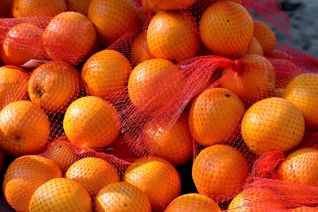 Grey-Bruce Farms for Sale