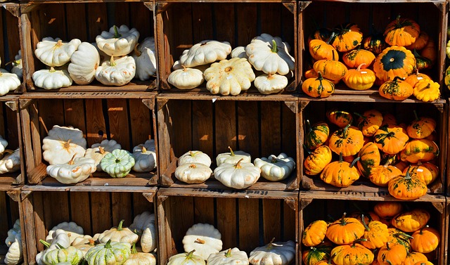 Grey-Bruce Farms for Sale