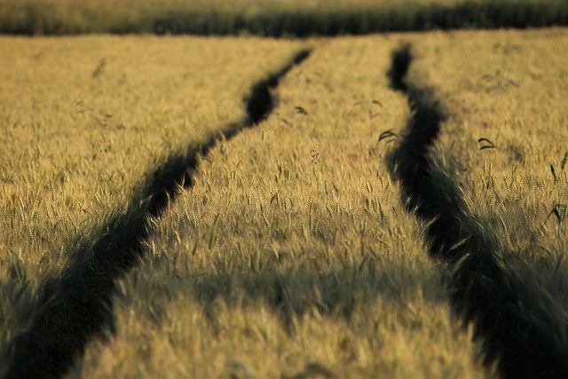 Grey-Bruce Ontario Farms for Sale