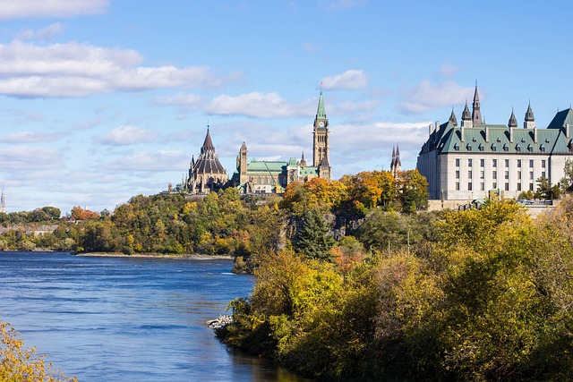 Lot Clearing Ontario: Guide to Local Services and Environmental Best Practices