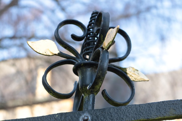 ornamental-iron-fence-barrie-640x480-35956292.jpeg