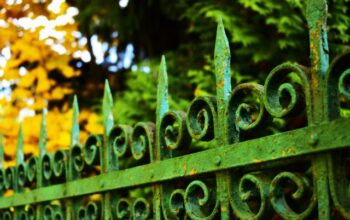 ornamental-iron-fence-barrie-640x480-51919252.jpeg