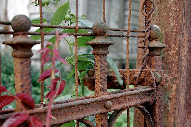 Ornamental Iron Fences: Elevating Collingwood Homes with Style and Value