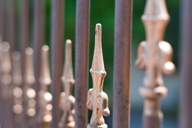 Pro House Management Collingwood: Strategies for Optimal Rental Income