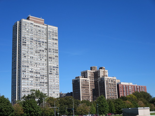 Factors to Consider for Top-Notch Property Management in Collingwood