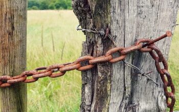 chain-link-fence-in-barrie-640x480-91441084.jpeg
