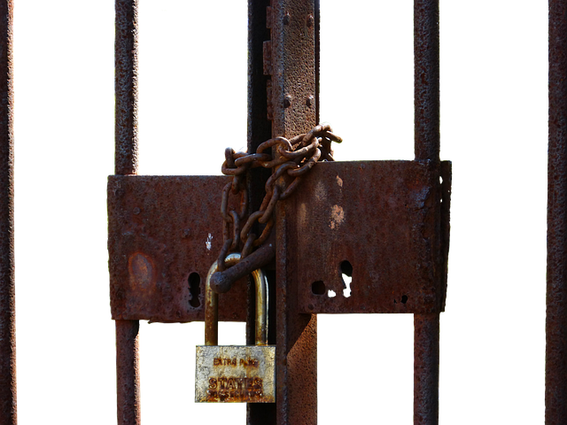 Top Chain Link Fence Installers in Barrie: Benefits, Tips & Maintenance