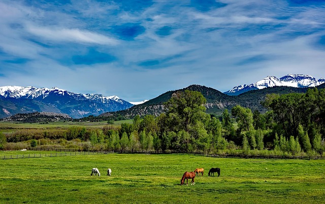Secure Your Farm: Top Fencing Options for Ultimate Protection