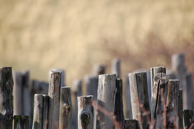 Ranch Fencing: Ontario’s Expert Solution for Aesthetics and Function