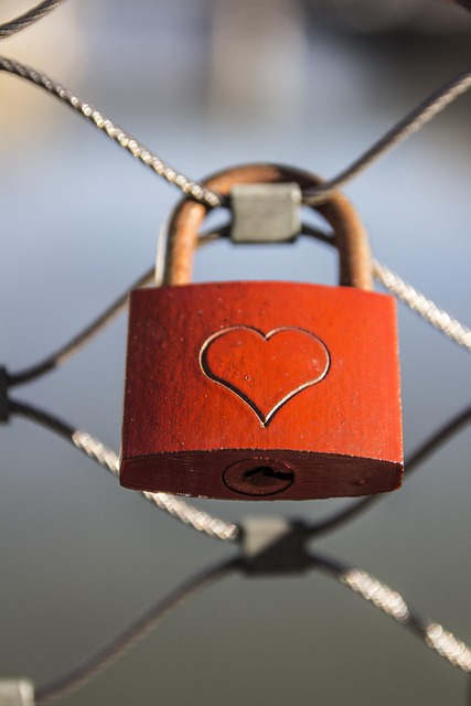 Secure Farm Access: Top-Tier Fencing for Property Protection