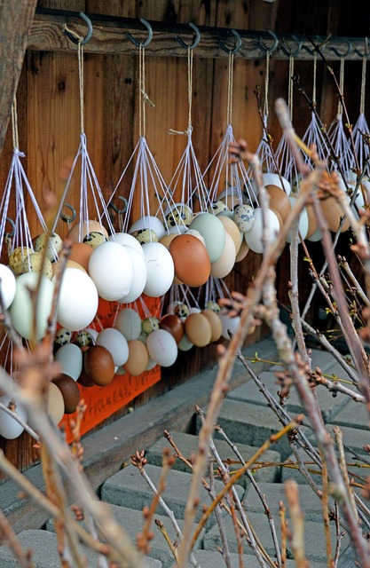 Grey-Bruce Farms for Sale